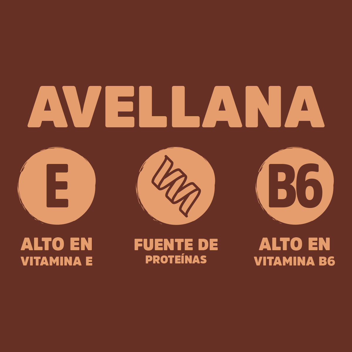Avellana Jar (360g)